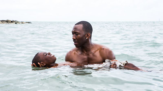 The Independent Spirit Awards show love for <i>Moonlight </i>and <i>American Honey</i>